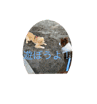 バイクと犬好きのスタンプno1（個別スタンプ：13）