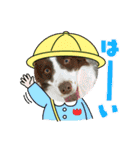 バイクと犬好きのスタンプno1（個別スタンプ：14）
