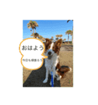 バイクと犬好きのスタンプno1（個別スタンプ：23）