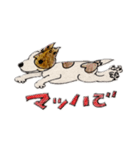 じゃっく pico（個別スタンプ：5）