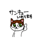 猫が頑張る！串カツ居酒屋 風太のスタンプ（個別スタンプ：6）