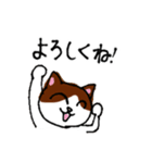 猫が頑張る！串カツ居酒屋 風太のスタンプ（個別スタンプ：16）