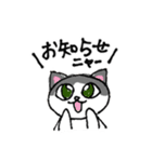 猫が頑張る！串カツ居酒屋 風太のスタンプ（個別スタンプ：17）