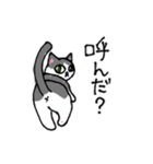 猫が頑張る！串カツ居酒屋 風太のスタンプ（個別スタンプ：23）
