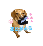 茶太さんスタンプ2（個別スタンプ：1）