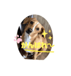 茶太さんスタンプ2（個別スタンプ：11）