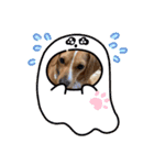 茶太さんスタンプ2（個別スタンプ：21）