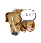 茶太さんスタンプ2（個別スタンプ：22）