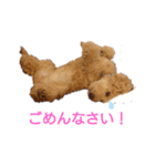 なっつスタイル（個別スタンプ：2）