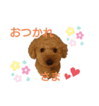 なっつスタイル（個別スタンプ：6）