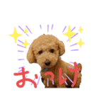 なっつスタイル（個別スタンプ：8）