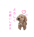 なっつスタイル（個別スタンプ：9）