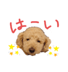 なっつスタイル（個別スタンプ：10）