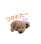 なっつスタイル（個別スタンプ：14）