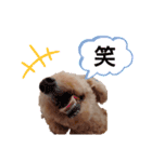 なっつスタイル（個別スタンプ：15）