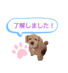 なっつスタイル（個別スタンプ：16）