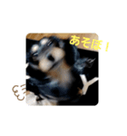 クロマメの日常（個別スタンプ：2）