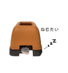 レオパのスタンプ①（個別スタンプ：5）