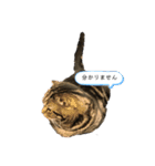 可愛いベルくん（個別スタンプ：2）