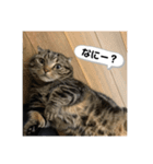 可愛いベルくん（個別スタンプ：8）