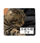 可愛いベルくん（個別スタンプ：10）