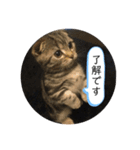 可愛いベルくん（個別スタンプ：13）