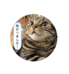 可愛いベルくん（個別スタンプ：14）