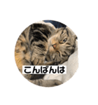 可愛いベルくん（個別スタンプ：16）