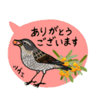 鳥スタンプ【敬語・丁寧語】（個別スタンプ：2）