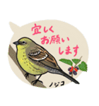 鳥スタンプ【敬語・丁寧語】（個別スタンプ：4）