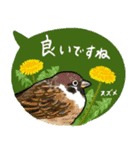鳥スタンプ【敬語・丁寧語】（個別スタンプ：5）