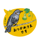 鳥スタンプ【敬語・丁寧語】（個別スタンプ：13）