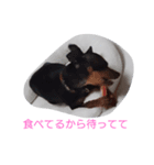 ティナの休日（個別スタンプ：2）