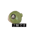 日常使い 敬語（個別スタンプ：2）