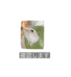 日常使い 敬語（個別スタンプ：3）