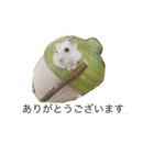 日常使い 敬語（個別スタンプ：4）