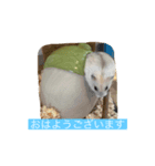 日常使い 敬語（個別スタンプ：6）