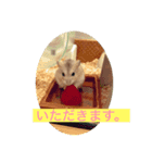 日常使い 敬語（個別スタンプ：8）