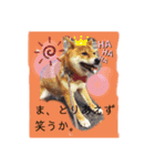 ころ太とたまには仲間スタンプ（個別スタンプ：7）