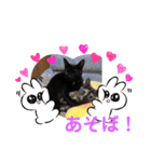 にゃんこの日常パート①（個別スタンプ：5）