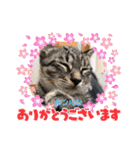 ルンルン・ランラン（個別スタンプ：3）