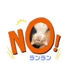 ルンルン・ランラン（個別スタンプ：5）