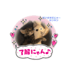 ルンルン・ランラン（個別スタンプ：12）