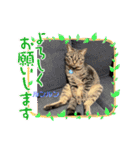 ルンルン・ランラン（個別スタンプ：13）