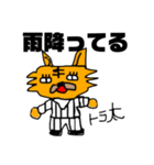 【サラリーマン向け】トラ太の日常スタンプ（個別スタンプ：6）