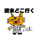 【サラリーマン向け】トラ太の日常スタンプ（個別スタンプ：16）