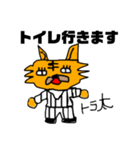 【サラリーマン向け】トラ太の日常スタンプ（個別スタンプ：23）
