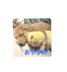 モンちゃんすたんぷ（個別スタンプ：4）
