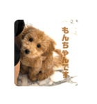 モンちゃんすたんぷ（個別スタンプ：5）