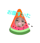 海くんスタンプ 3（個別スタンプ：10）